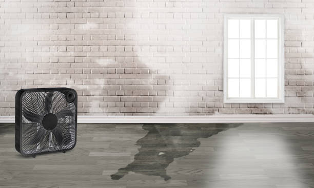 Best Residential water damage restoration  in Skippers Corner, NC