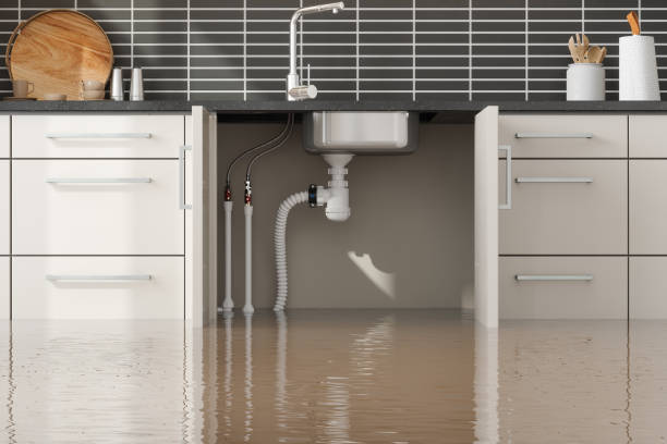 Professional Water damage restoration in Skippers Corner, NC