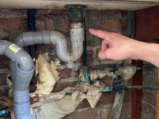 Best Water damage restoration specialists  in Skippers Corner, NC