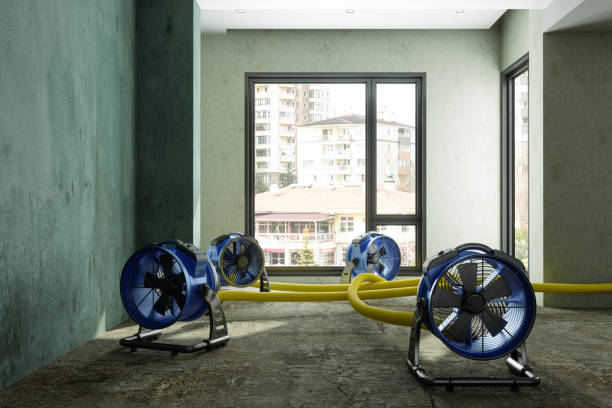 Best Mold removal after water damage  in Skippers Corner, NC