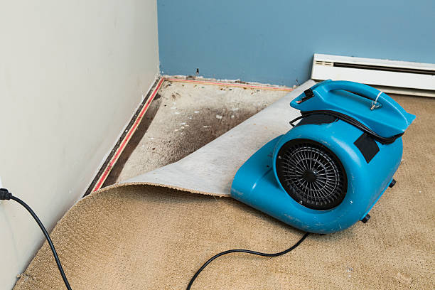 Fire Damage Restoration in Skippers Corner, NC